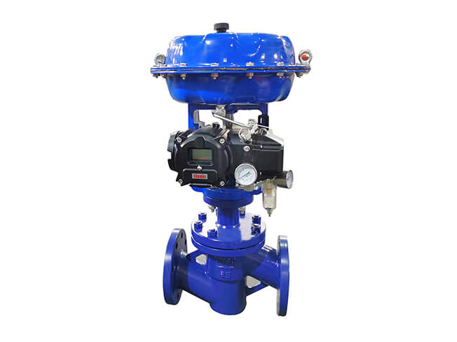 Cage Sleeve Control Valve